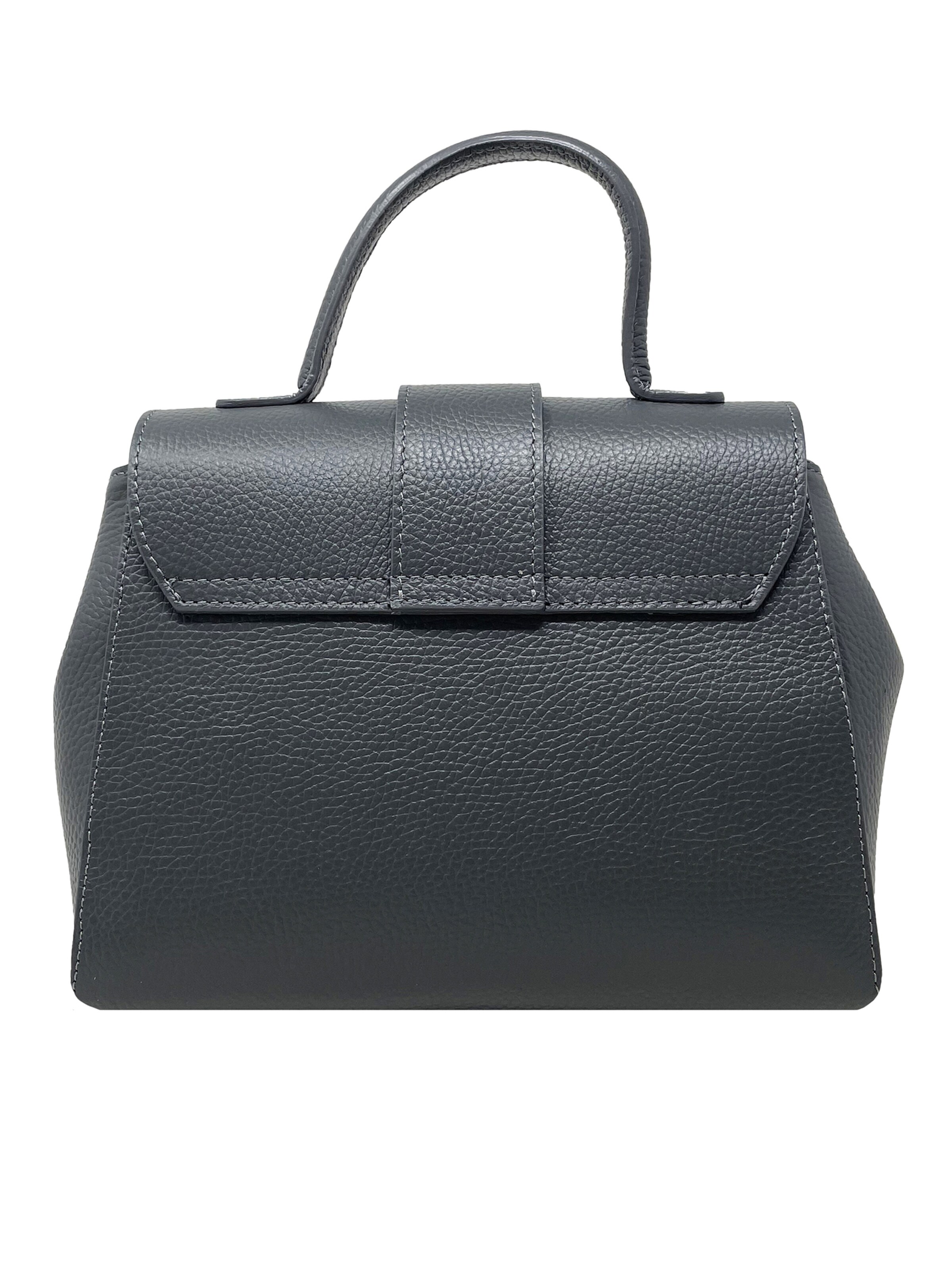 CHICCA BORSE Handbag in Grey