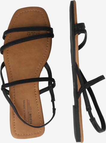 CALL IT SPRING Strap Sandals 'BELL' in Black