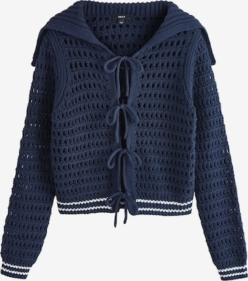 Next Вязаная кофта в Синий: спереди