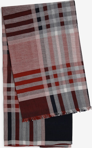 Nils Sundström Scarf in Mixed colors: front