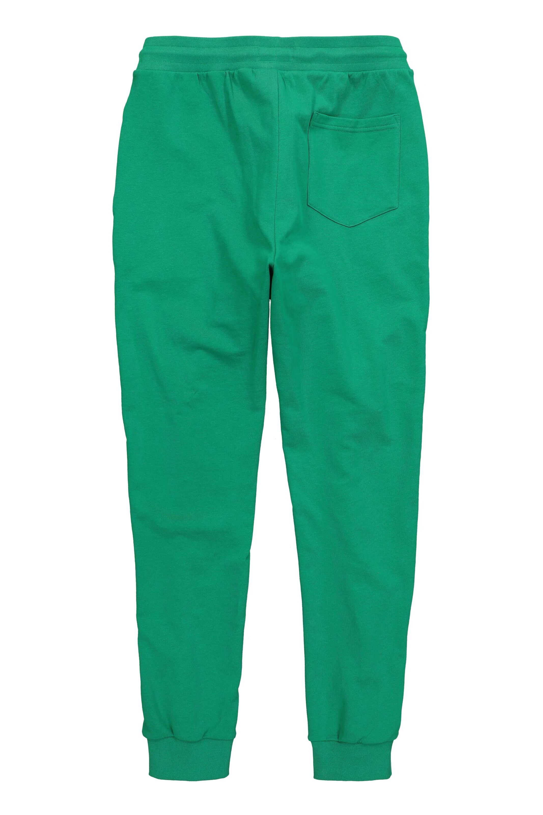 Men Plus Tapered Trousers in Green