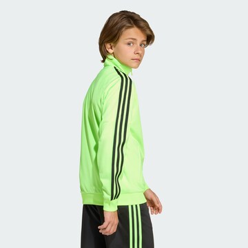 ADIDAS ORIGINALS Zip-Up Hoodie 'Adicolor Firebird' in Green