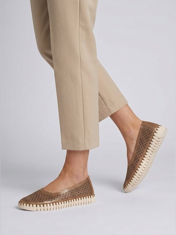 Chaussure basse 'Tulip3578' ILSE JACOBSEN en marron : devant