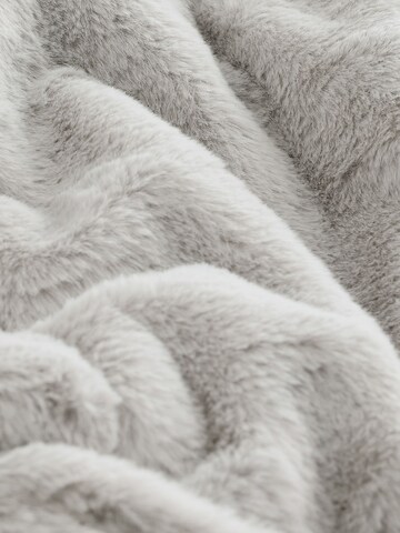 Next Between-season jacket in Grey