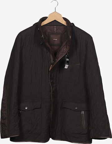Windsor Jacke 5XL in Braun: Vorderseite