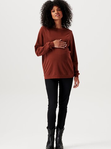 Noppies Sweater 'Ponca' in Brown: front