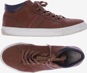 GUESS Sneakers & Trainers in 43 in Brown: front