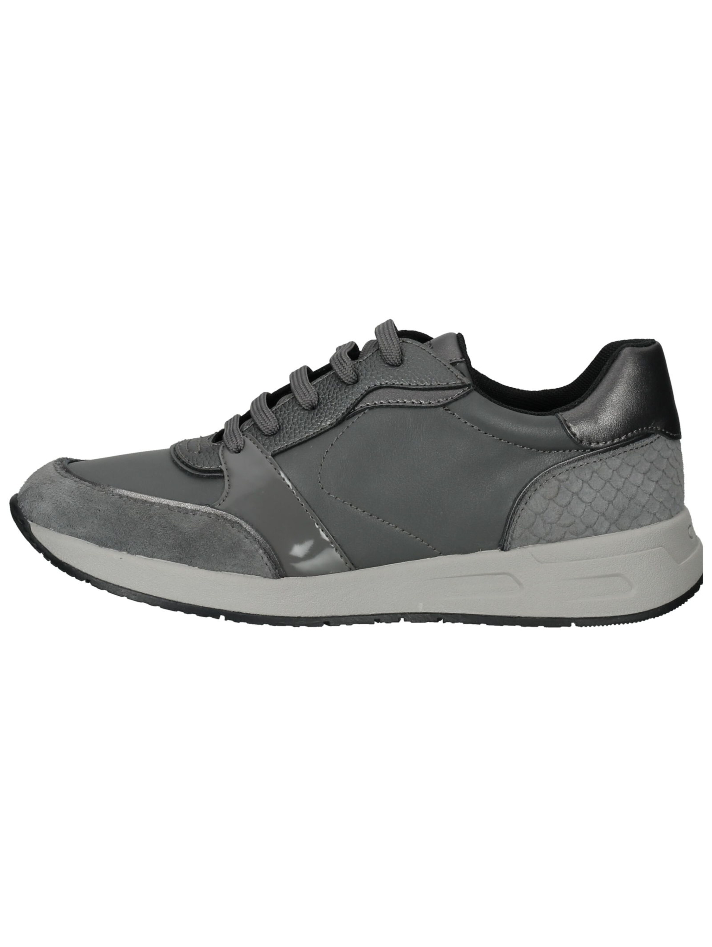 GEOX Sneakers in Grey