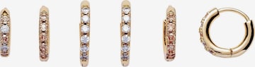Boucles d'oreilles 'Helen' U.S. POLO ASSN. en beige : devant