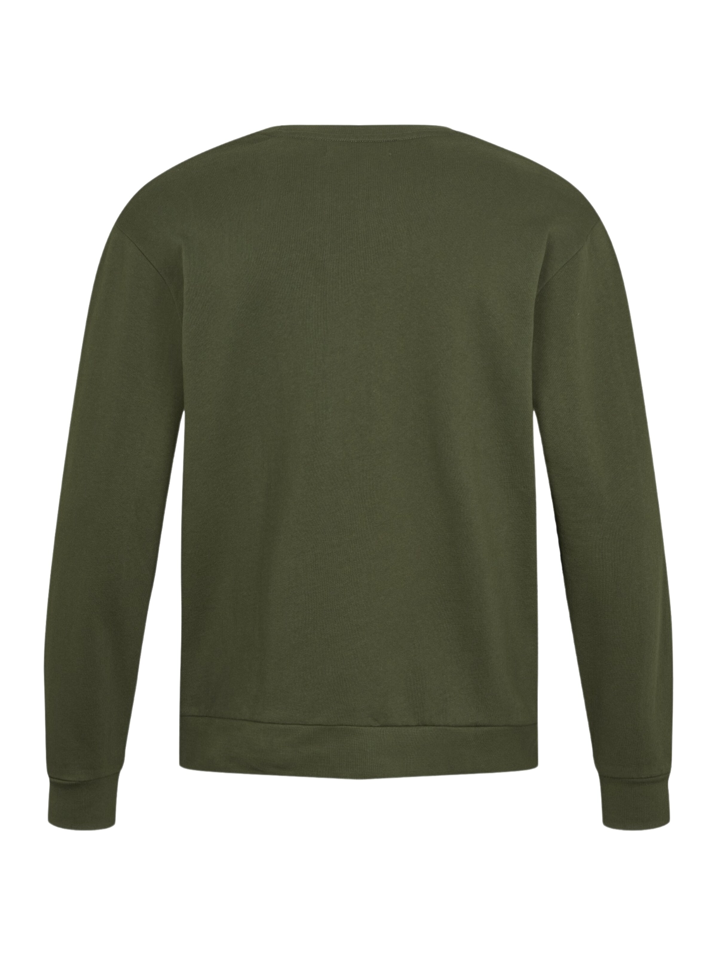 U.S. POLO ASSN. Sweatshirt 'Adler' in Grün