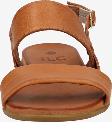 ILC Sandals in Brown