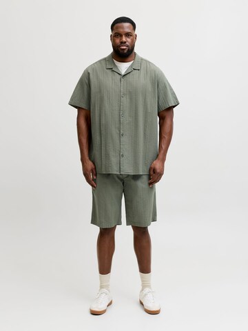 JACK & JONES Regular Pants in Green