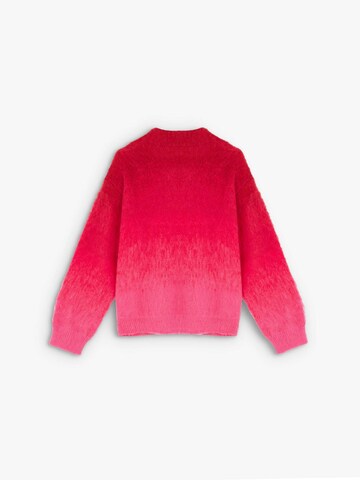 Scalpers Pullover in Pink
