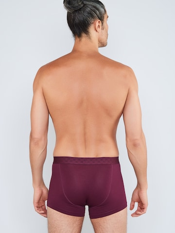 JOOP! Boxer shorts 'Everday' in Grey
