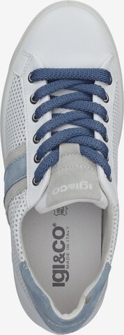 IGI&CO Sneaker in Weiß