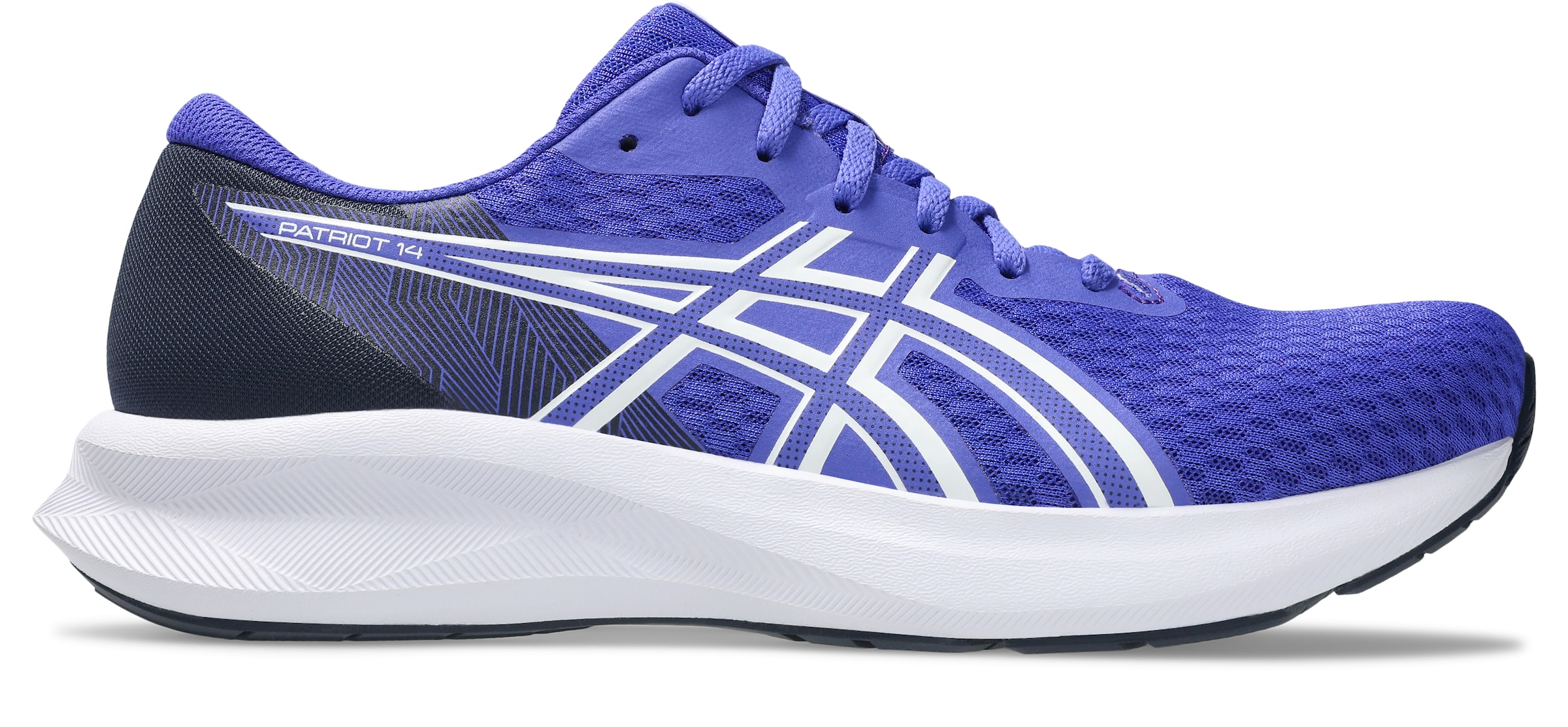 ASICS Laufschuh in Blau