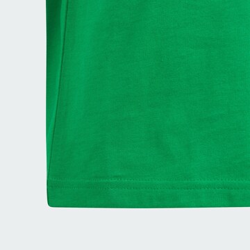 ADIDAS ORIGINALS Shirt 'Adicolor Trefoil' in Green