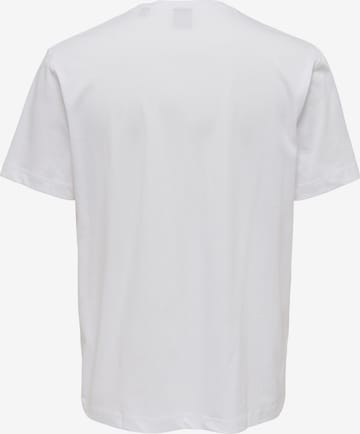 Only & Sons Bluser & t-shirts 'Max' i hvid