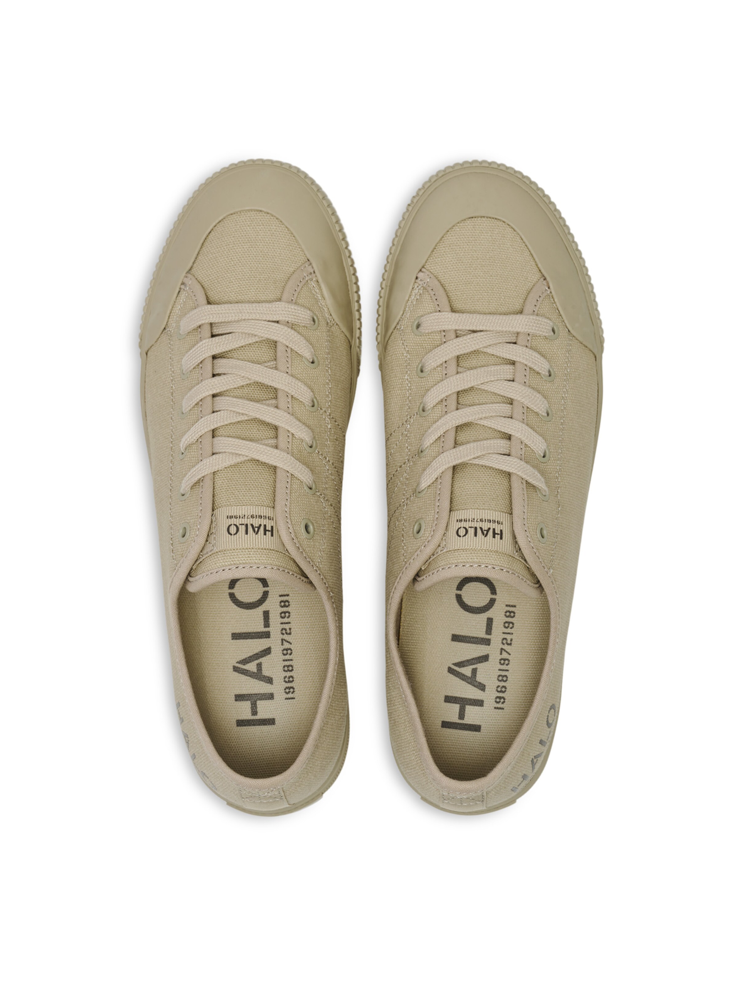HALO Sneaker Low in Braun