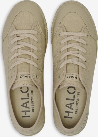 HALO Sneakers laag in Bruin