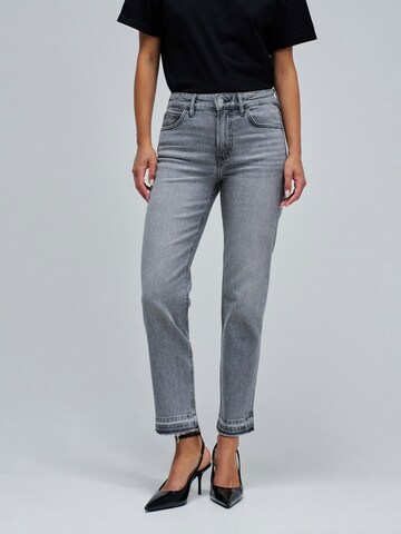 Regular Jean Salsa Jeans en gris : devant