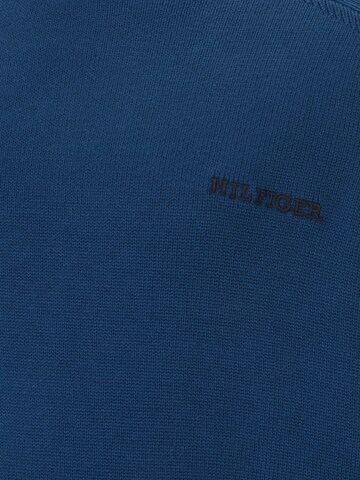 Tommy Hilfiger Big & Tall Sweater in Blue