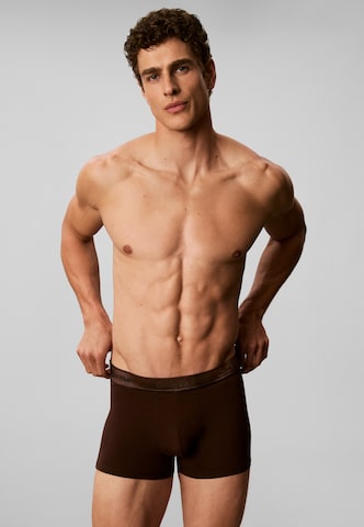 Calvin Klein Underwear Regular Boxershorts in Beige: Vorderseite
