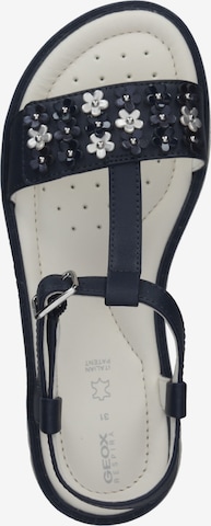 GEOX Sandals in Blue