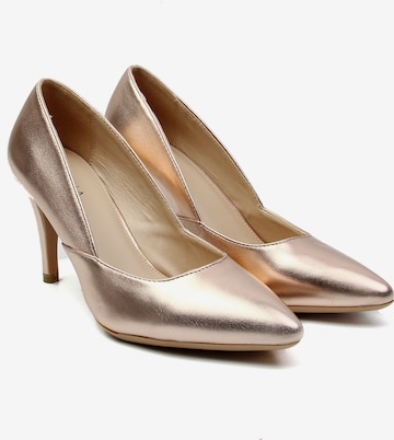 Celena Pumps 'Carlotta' in Braun