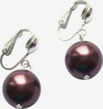 Gemshine Earrings in Silver: front