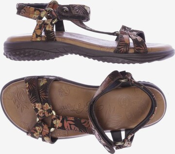 PANAMA JACK Sandals & High-Heeled Sandals in 38 in Brown: front