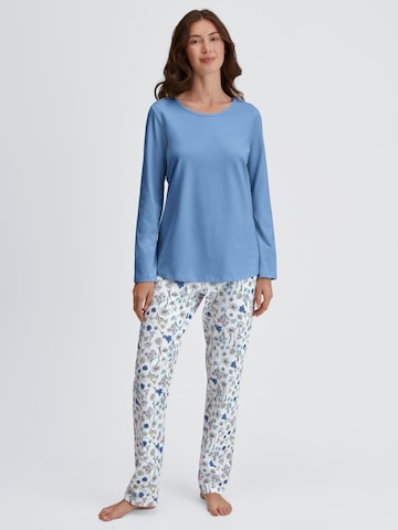 CALIDA Pajama 'Cotton Special' in Blue