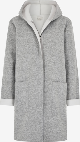 Cappotto di mezza stagione di Apricot in grigio: frontale