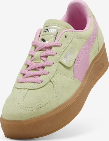 PUMA Sneakers in Green: front
