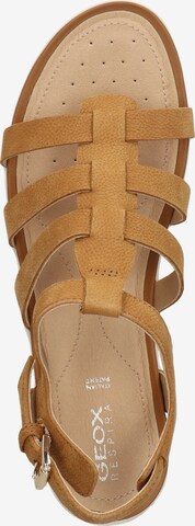 GEOX Sandals in Brown