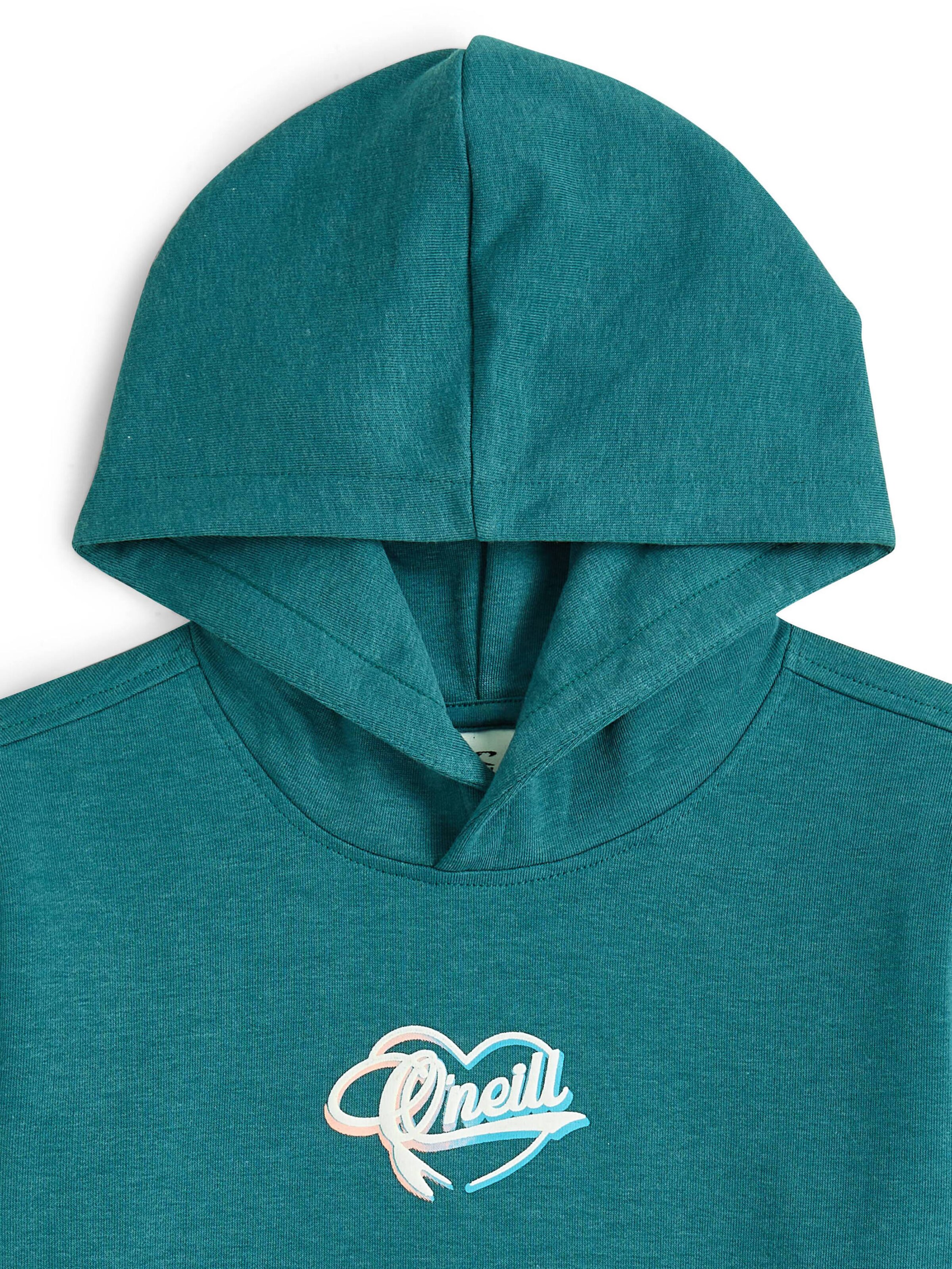 O'NEILL Sweatshirt 'Essentials' in Groen