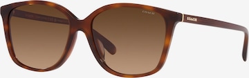 Lunettes de soleil COACH en marron : devant