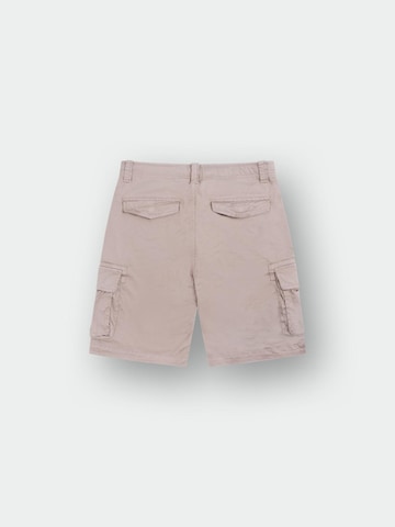 regular Pantaloni cargo di M.O.D MIRACLE OF DENIM in grigio