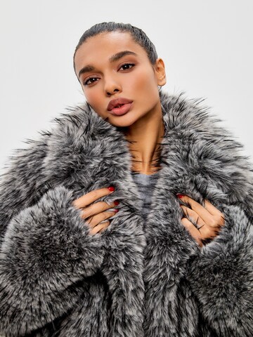 CESARE GASPARI Winter coat in Grey
