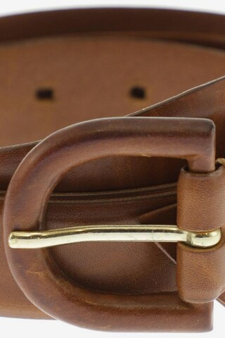 Max Mara Belt in One size in Brown