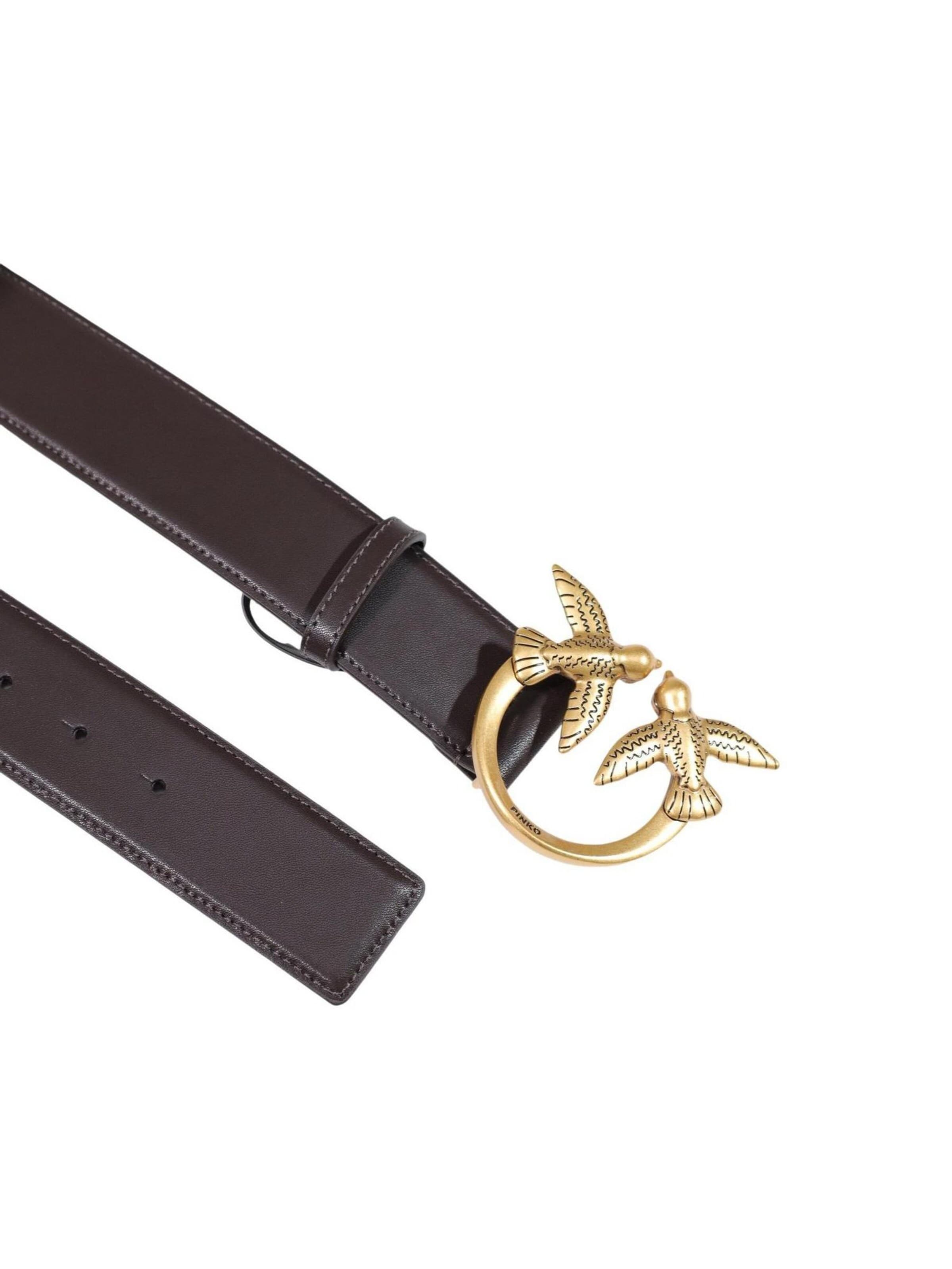 PINKO Riem 'ALTA LOVE BIRDS IN PELLE' in Bruin