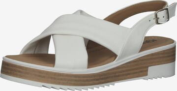 IGI&CO Strap Sandals in White: front