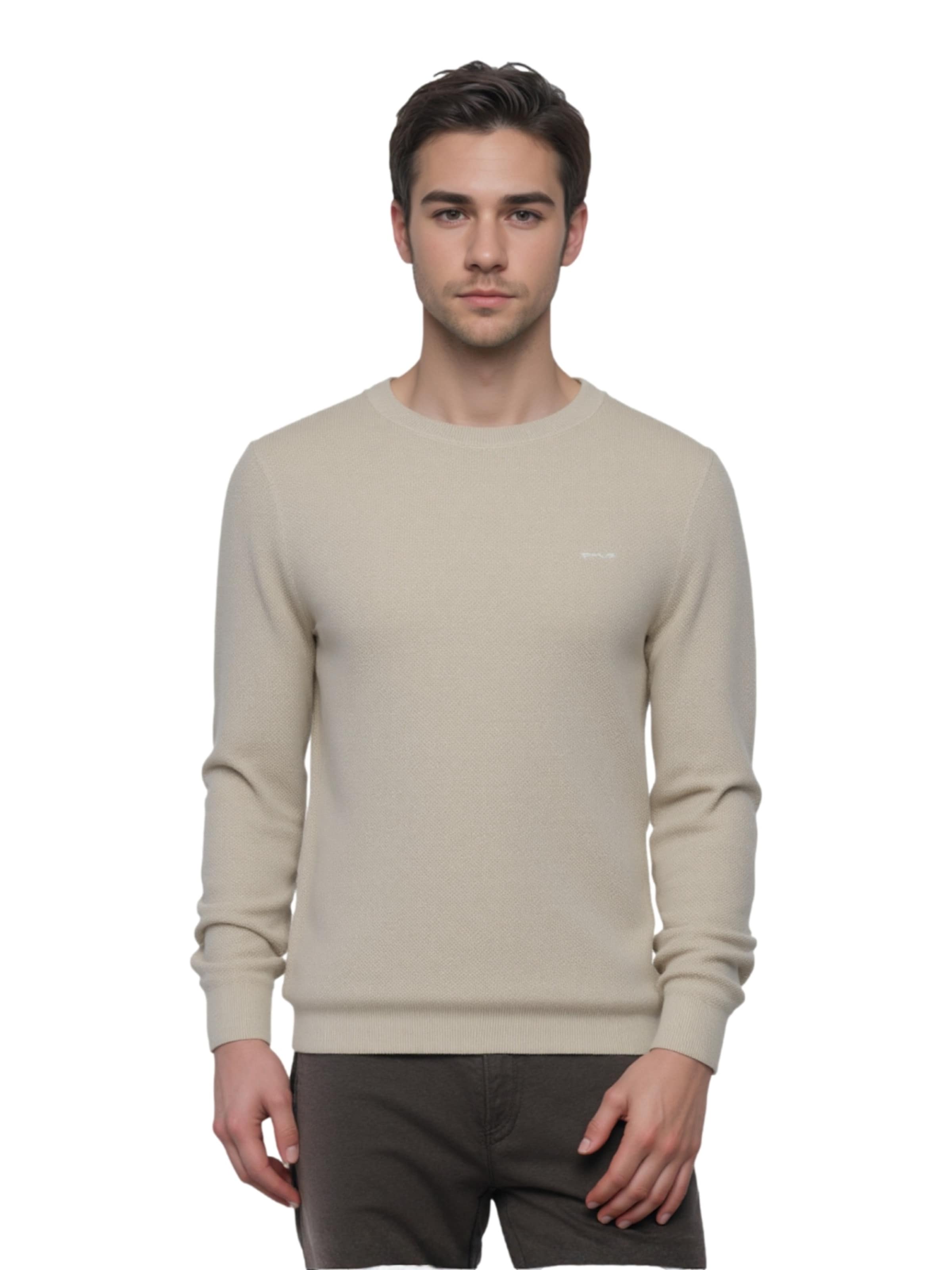 GANT Sweater in Beige: front