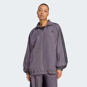 ADIDAS ORIGINALS Преходно яке 'Teamgeist Adicolor' в сиво: отпред