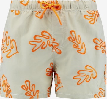 Shorts de bain 'NICK' Shiwi en gris : devant