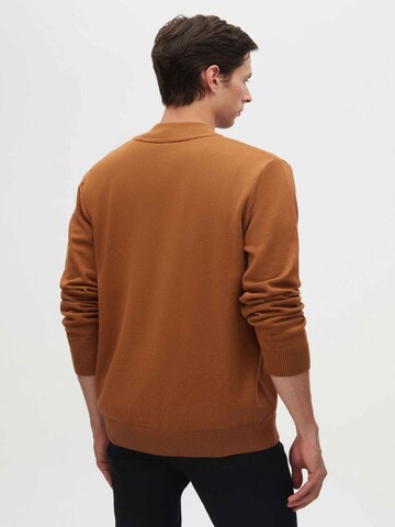 D’S Damat Sweater in Brown