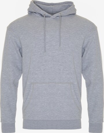 BIG STAR Sweatshirt 'LITSON' in Grey: front