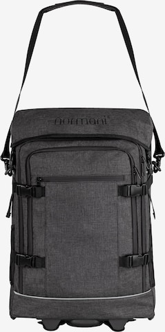 normani Trolley 'Nara' in Grau: Vorderseite