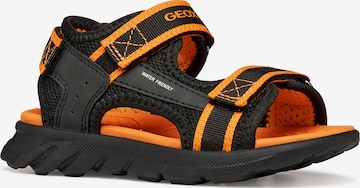 GEOX Sandale in Schwarz: Vorderseite