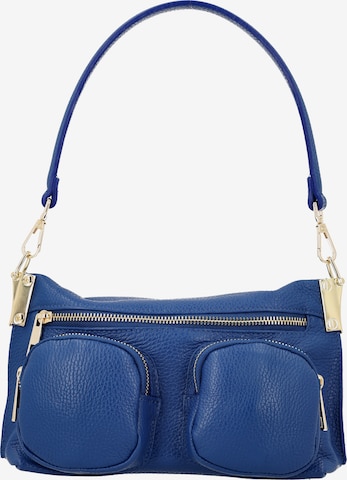 zils faina Pleca soma: no priekšpuses